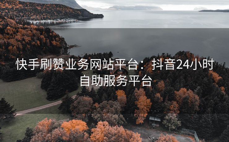 快手刷赞业务网站平台：抖音24小时自助服务平台
