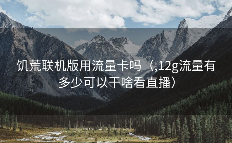 饥荒联机版用流量卡吗（,12g流量有多少可以干啥看直播）
