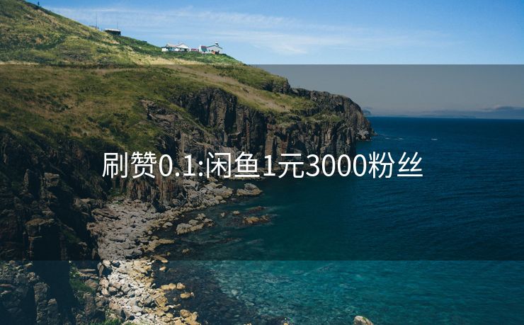 刷赞0.1:闲鱼1元3000粉丝