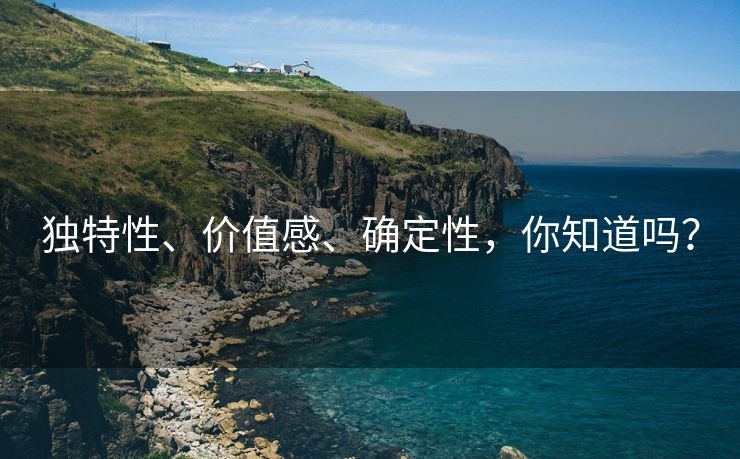独特性、价值感、确定性，你知道吗？