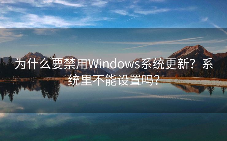 为什么要禁用Windows系统更新？系统里不能设置吗？