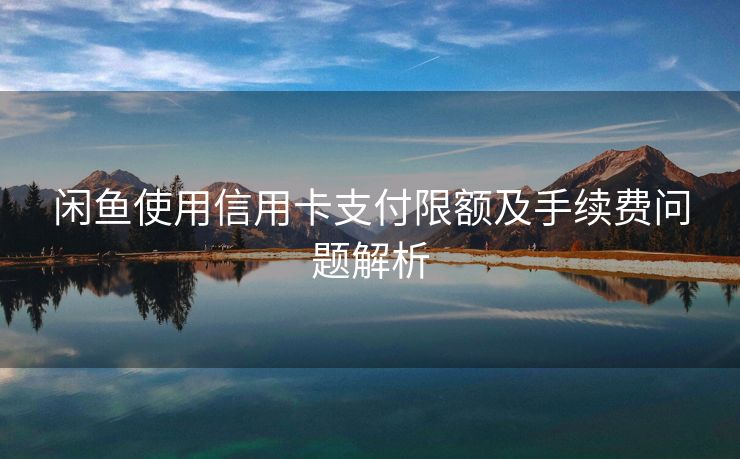 闲鱼使用信用卡支付限额及手续费问题解析