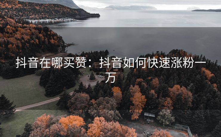 抖音在哪买赞：抖音如何快速涨粉一万