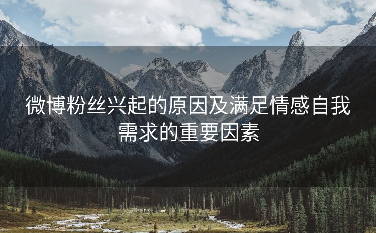 微博粉丝兴起的原因及满足情感自我需求的重要因素