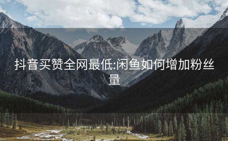 抖音买赞全网最低:闲鱼如何增加粉丝量