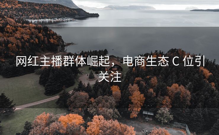 网红主播群体崛起，电商生态 C 位引关注