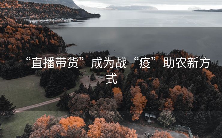 “直播带货”成为战“疫”助农新方式