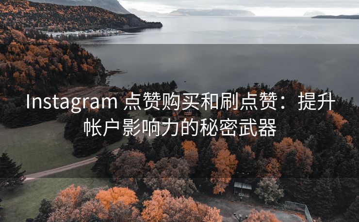 Instagram 点赞购买和刷点赞：提升帐户影响力的秘密武器