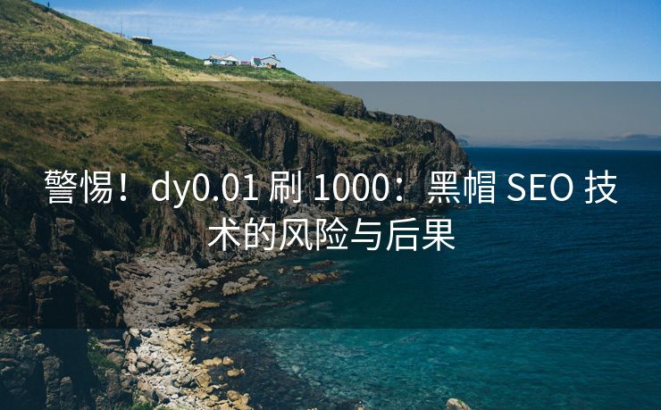 警惕！dy0.01 刷 1000：黑帽 SEO 技术的风险与后果