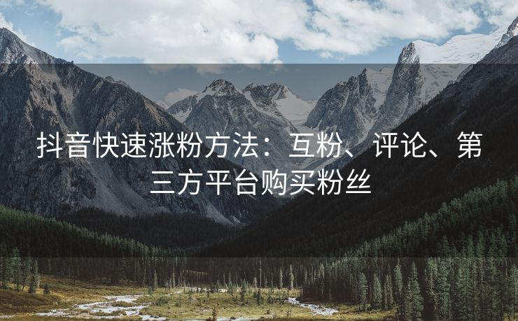 抖音快速涨粉方法：互粉、评论、第三方平台购买粉丝