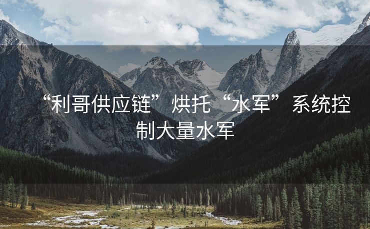 “利哥供应链”烘托“水军”系统控制大量水军