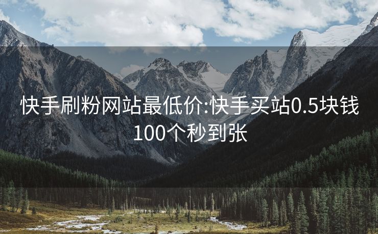 快手刷粉网站最低价:快手买站0.5块钱100个秒到张