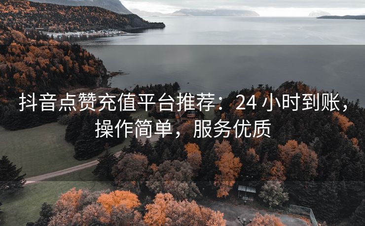 抖音点赞充值平台推荐：24 小时到账，操作简单，服务优质