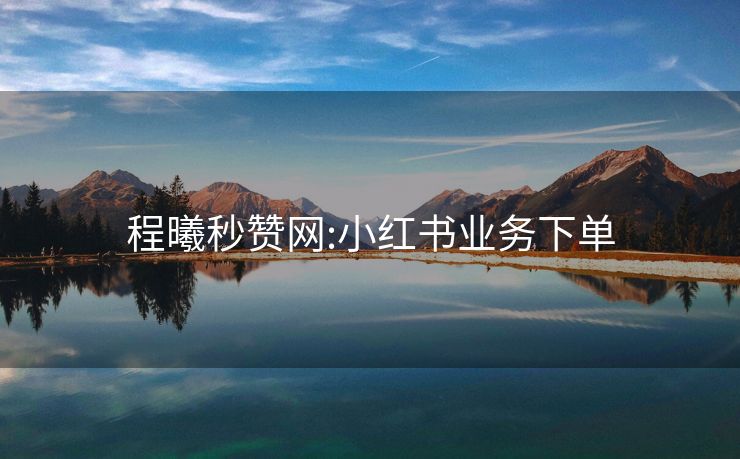 程曦秒赞网:小红书业务下单