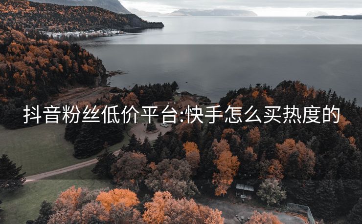 抖音粉丝低价平台:快手怎么买热度的
