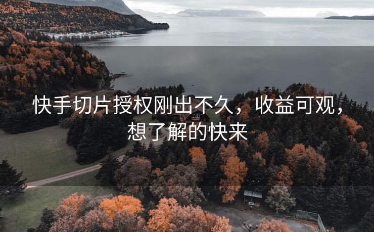 快手切片授权刚出不久，收益可观，想了解的快来