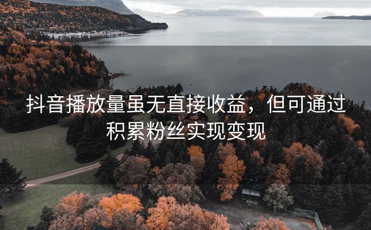抖音播放量虽无直接收益，但可通过积累粉丝实现变现