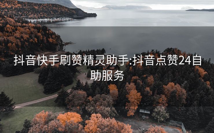 抖音快手刷赞精灵助手:抖音点赞24自助服务