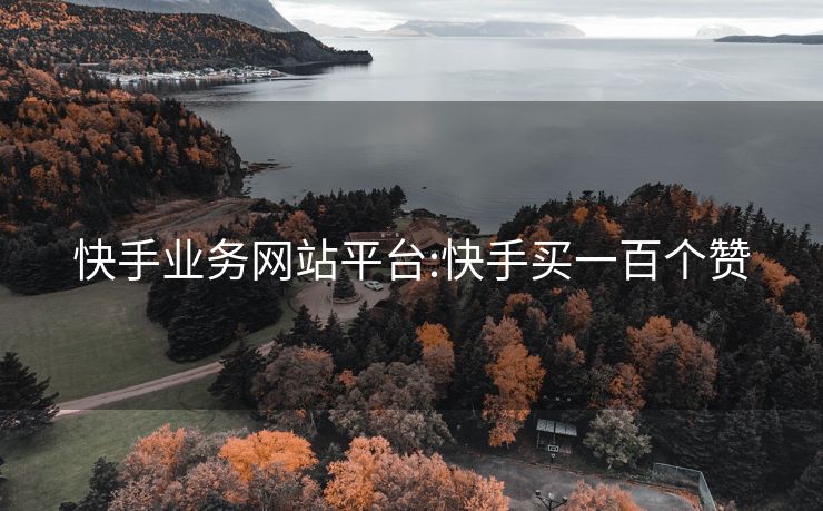 快手业务网站平台:快手买一百个赞