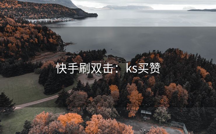 快手刷双击：ks买赞