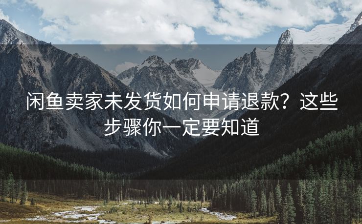 闲鱼卖家未发货如何申请退款？这些步骤你一定要知道
