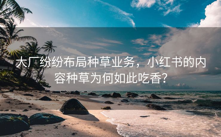 大厂纷纷布局种草业务，小红书的内容种草为何如此吃香？